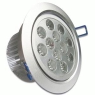 LED Ceiling Light 12 W (12 LED X 1 Watt)