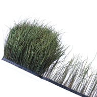 【Exclusive】 1meter Peacock Feather Trim Ribbon Natural Peacock Feather Fringe Costume Clothing Sewin