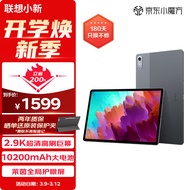 联想小新Pad Pro 12.7英寸 骁龙870 娱乐办公学习 游戏平板 莱茵全局护眼2.9k 144Hz 8+128WIFI灰