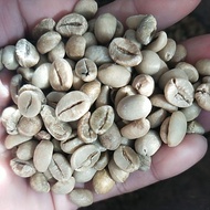 BIJI KOPI ROBUSTA AP 1 500g