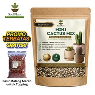 SoulPlant Premium 2L Indoor Mini Cactus & Succulent Planting Media | Granular 2-4 mm Anti Root Rot
