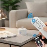 Wireless Smart Plug WiFi Outlet with Power Control for eWeLink, Alexa & Google Home Palam Pintar Tan