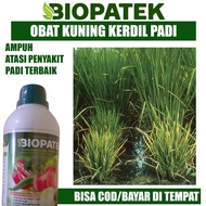 Pupuk Sawah BIOPATEK Pengendali Pertumbuhan Padi Kerdil Rumput dan Hampa  Obat Semprot Padi Memperbaiki Pertumbuhan Tanaman Padi - Obat Padi Kuning Kerdil Kresek Blast dan Padi Kosong - Pengendali Penyakit Tanaman Padi Menambah Hasil Panen