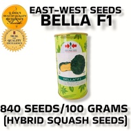 BELLA F1 (100GRAMS OR 840 SEEDS) HYBRID CALABASA BY EAST WEST SEEDS