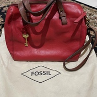 Tas fosil Rachel satchel