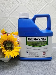 4L Halex Concede/Compete Glyphosate 13.6% /Racun Rumput Lalang /Speedout/Ken-Star/Sekali/Mawah/Selec