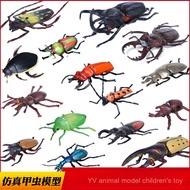 Simulation Beetle Toy Animal Model Insect Balcony Stag Beetle Beetle Beetle Unicorn Children Cogniti