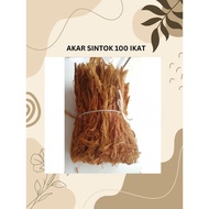 AKAR SINTOK (100 IKAT) AKAR BELURU AKAR SINTOK MURAH AKAR SINTOK SERBAGUNA AKAR SINTOK KAMPUNG AKAR 