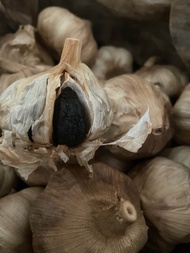 Black Garlic กระเทียมดำ ศรีสะเกษ กระเทียมหัวกลีบดำ 150 กรัม ทานง่าย อร่อย