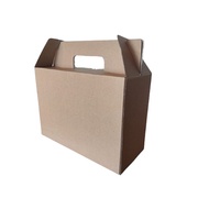 Carrying Box | Carrying Box Size 21x21x15cm