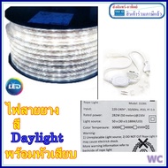 Philips สายไฟLED ไฟสายยาง ฟิลลิป์ 50เมตร 31086  Rope Light LED Strip ไฟเส้น ไฟซ่อนฝ้า LED ฟิลิปส์ ไฟ