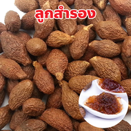 ลูกสำรองแห้ง ลูกพุงทะลาย หมากจอง ฮวงไต้ไฮ้ ปริมาณ 100, 500 กรัม Dried Malva Nut, 胖大海