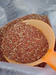 Beras merah 1 kg