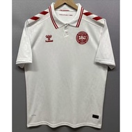 2425 Denmark Away Football Team High Quality Short Sleeve Fan Edition