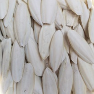 4pcs size 12cm Dried White Cuttlefish Bone Pure Natural Squid Shell Cuttlefish Bone Export Quality