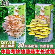 Mushroom Box Mushroom Cultivation Kit Home Indoor Mushroom Cultivation Kit Children's Fun Handmade E