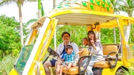 沖繩名護鳳梨公園 入場券 + 餐券（鳳梨冰淇淋）｜指定日期