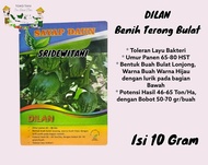 PROMO Benih Terong lalap Bohlam Hibrida DILAN isi 10gram 3200 biji Bibit Terong Lalap Terong Bohay