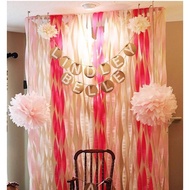 [SG] Pink Red Rose Theme Crepe Paper Party Streamer Backdrop