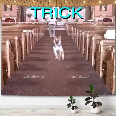 Alex G Trick Album Cover Tapestry Wall Art Posters Aesthetic Bedroom Decorative Print Tapestrys Macr