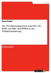 Der Novellierungsprozess zum EEG. Die Rolle von BMU und BMWA in der Politikformulierung René Riedel