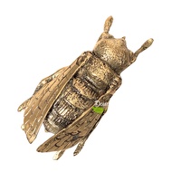 Fly Beetle Statue | Brass Decoration | Home Display