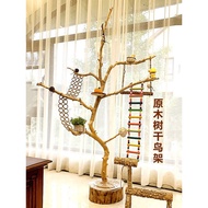 Dry branches, natural tree branches, bird stand, parrot perch, artistic dry branches, dead wood tree