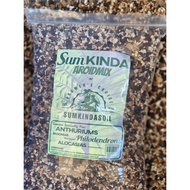 Premium Aroid Mix - SumKindaSoil Aroid Mix; Soiless Mix