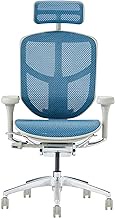 Ergohuman2 EJ2-HAM-GF-BL 429794 ENJOY High Type Nylon Caster, Blue Mesh/Gray Frame