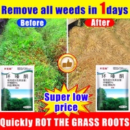 Remove all weeds in 3 days racun rumput cepat mati 500g racun rumput paling kuat Fast action Long la