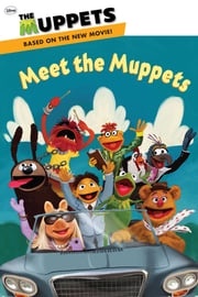 Meet the Muppets Ray Santos