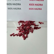 COLORED BICYCLE SPOKES