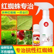 Plant Easy to Kill Red Spider Special Purpose Chemicals Rose Jasmine Strawberry Citrus Plant Flower 