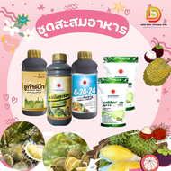 #ชุดสะสมอาหาร ก่อนการออกดอก ใบเพสลาด ( อะมิโนทุเรียน+ซูก้าร์บีท+4-24-24+แมกนีเซียมซัลเฟต2kg ) #ดวงตะ