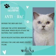 NIBUNA Pet Shampoo 5L(Cat Shampoo)Pet Groomer
