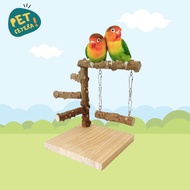 Bird Prickly Perch Standing Perch with Swing | Bird Perch Swing Toy Parrot/