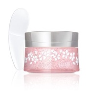 【2020年限定】SHISEIDO 資生堂 ELIXIR 怡麗絲爾 晚安凍膜 105g