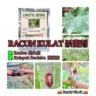 250g LINOTYL Fosetyl-aluminium 80% Racun Kulat Kanker Pokok Durian Kulapuk Berdebu Bayer Aliette All