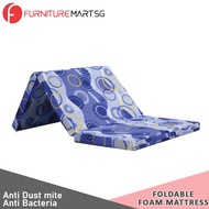 [FurnitureMartSG] Viro Lion Foldable Foam Mattress 3