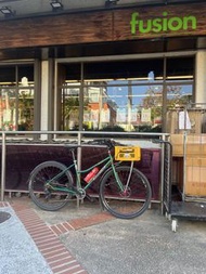Shimano淑女單車 鋼架