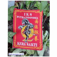 IKSPI back bet (bet 03) IKSPI accessories/