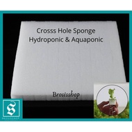 (100 Cube) Germination Cross Sponge Hydroponic & Aquaponic
