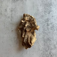 野生加里曼丹沉香老料PK130(13.7克)