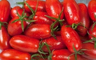 【特價！屏東內埔 有機認證玉女番茄1斤×10盒】嬌貴溫室栽培的小蕃茄 果肉飽滿多汁