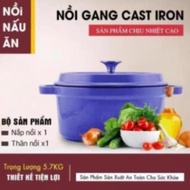 Molded cast iron pot - Non-scratch non-stick monolithic cast iron pot, used on induction cookers and ovens