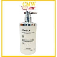 GDMAX Intense Repair Treatment 450ml