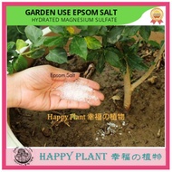 Garden use Epsom salt  100gram Magnesium Sulfate flower fruit booster seed germination helper pest control
