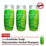 Buy 3 Free 1 EcoHerbs Scalp Rejuvenation Herbal Shampoo: Reduce, Decrease, Extreme, Heavy, Hair Loss, Oily, Itchy, Dry Scalp, Dandruff, Migraine, Headache, Anti Hair Thin, Fall, Prevention, Strong, Healthy Hair Roots