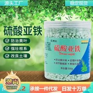 【樂樂屋】硫酸亞鐵花用酸性肥料通用型茉莉花卉補鐵花肥杜鵑花梔子花專用肥