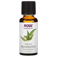 100% Pure Now Foods Essential Oil Eucalyptus 1 fl oz (30 ml)